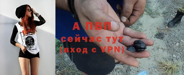 прущие грибы Майский