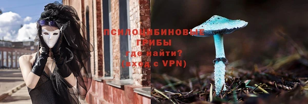 прущие грибы Майский
