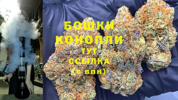 прущие грибы Майский