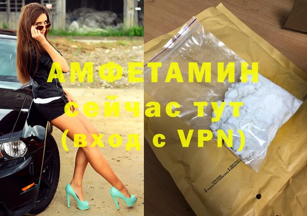 прущие грибы Майский