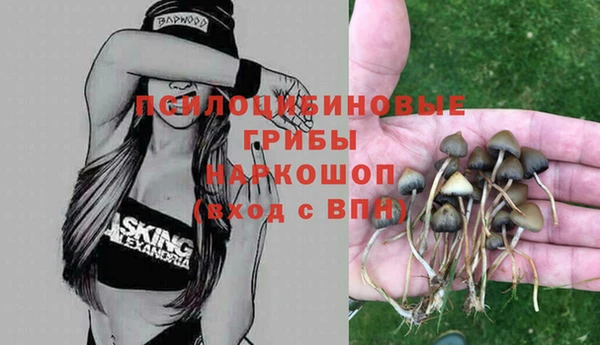 каннабис Магас
