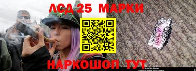 шишки Абинск