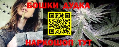 шишки Абинск