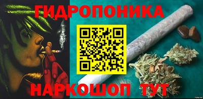 шишки Абинск