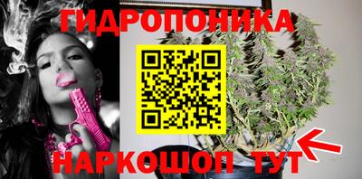 бошки Абакан
