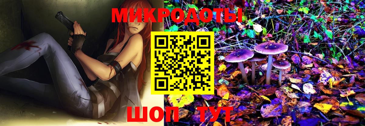 Галлюциногенные грибы Cubensis Шадринск