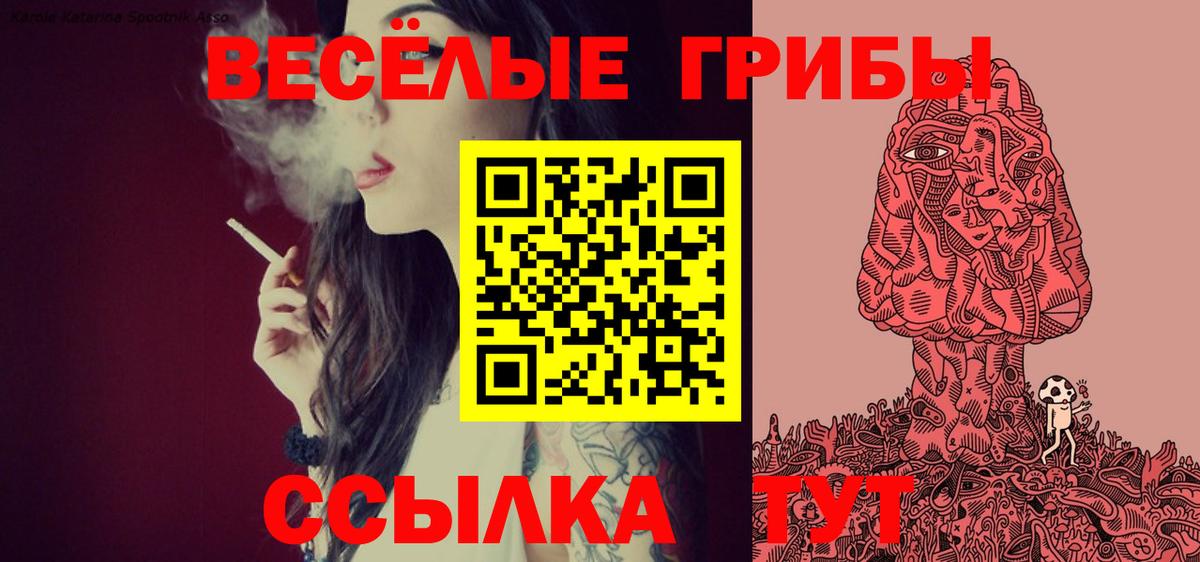 Шадринск  Псилоцибиновые грибы Psilocybe  Вход с VPN 