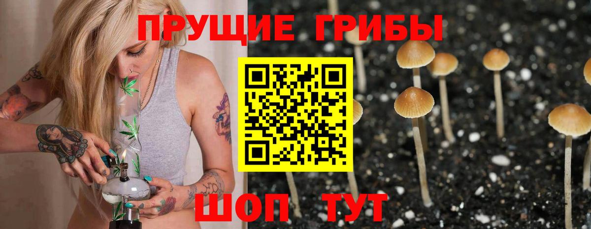 Галлюциногенные грибы мицелий Шадринск