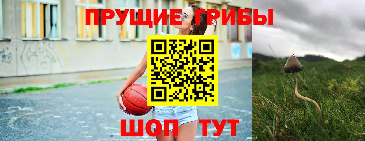 Псилоцибиновые грибы GOLDEN TEACHER  Вход с VPN  Шадринск  Псилоцибиновые грибы ЛСД 