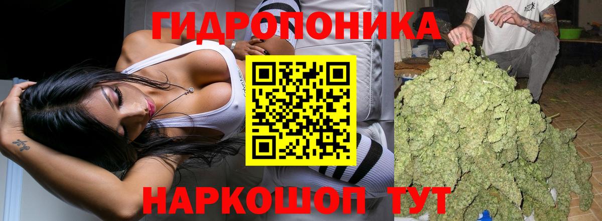 Шишки марихуана Amnesia Шадринск